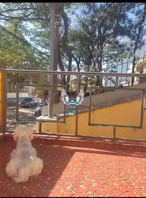 Foto 2 de Casa com 3 quartos à venda, 138m2 em Vila Maria Alta, São Paulo - SP