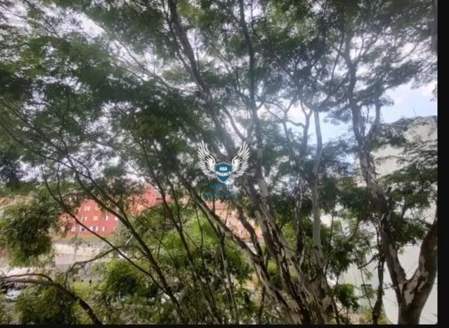 Foto 5 de Apartamento com 2 quartos à venda, 48m2 em Vila Nova Cachoeirinha, São Paulo - SP