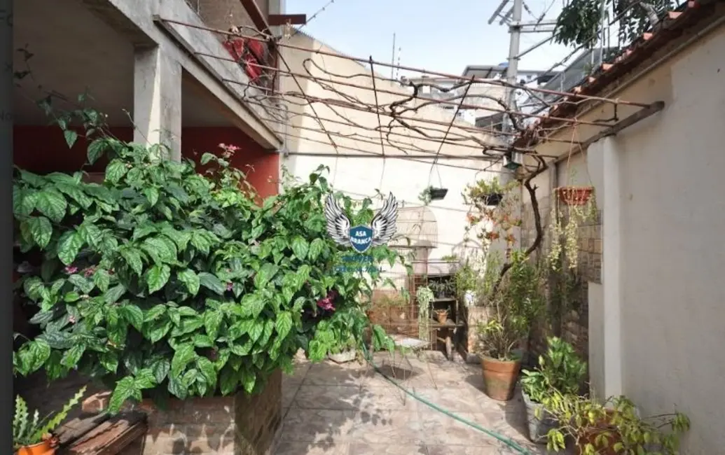 Foto 7 de Casa com 5 quartos à venda, 258m2 em Tremembé, São Paulo - SP