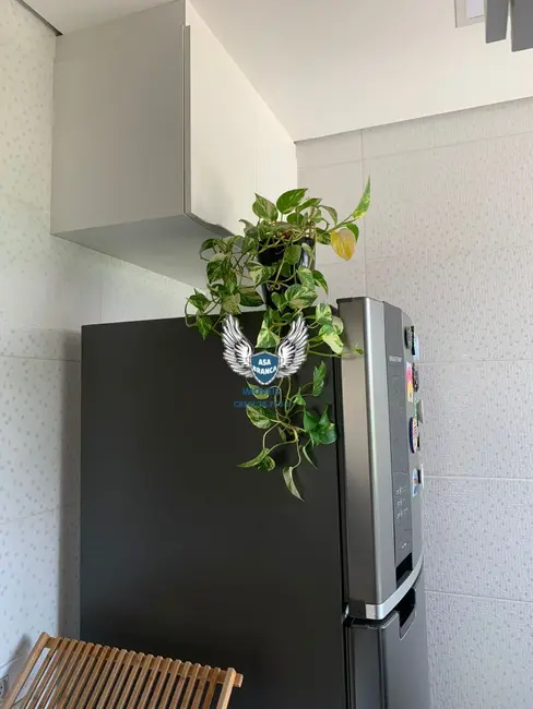 Foto 6 de Apartamento com 2 quartos à venda, 45m2 em Tremembé, São Paulo - SP
