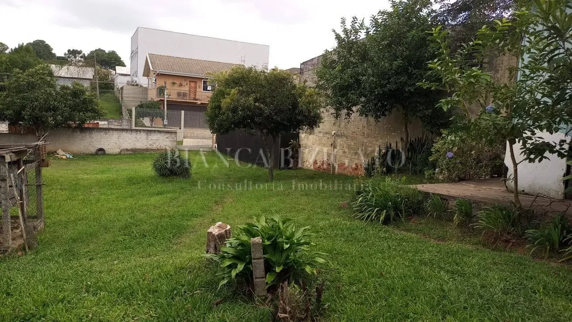 Foto 5 de Terreno / Lote à venda em Orleans, Curitiba - PR