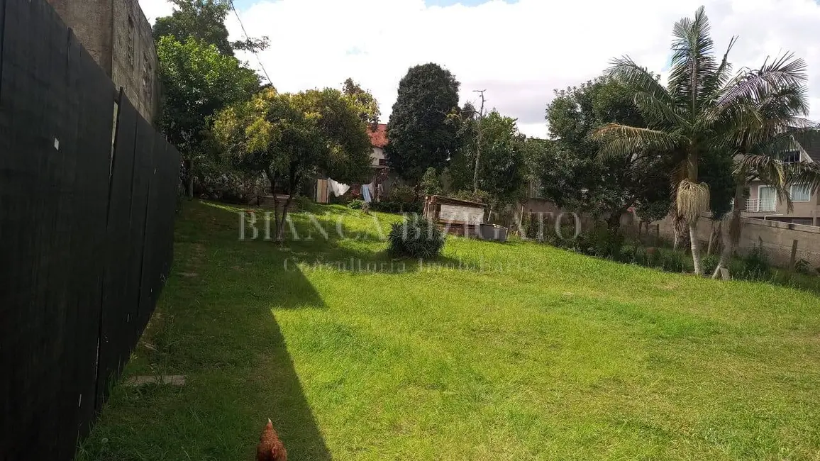 Foto 1 de Terreno / Lote à venda em Orleans, Curitiba - PR