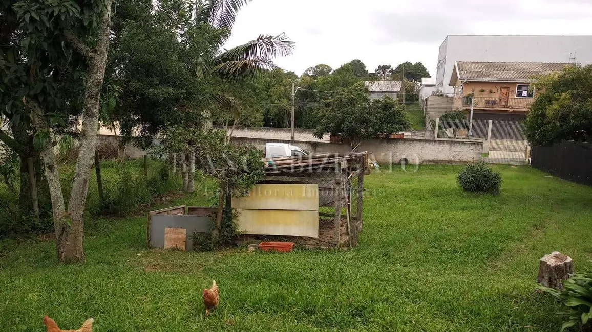Foto 4 de Terreno / Lote à venda em Orleans, Curitiba - PR