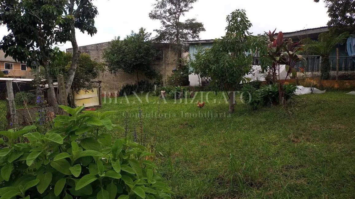 Foto 8 de Terreno / Lote à venda em Orleans, Curitiba - PR