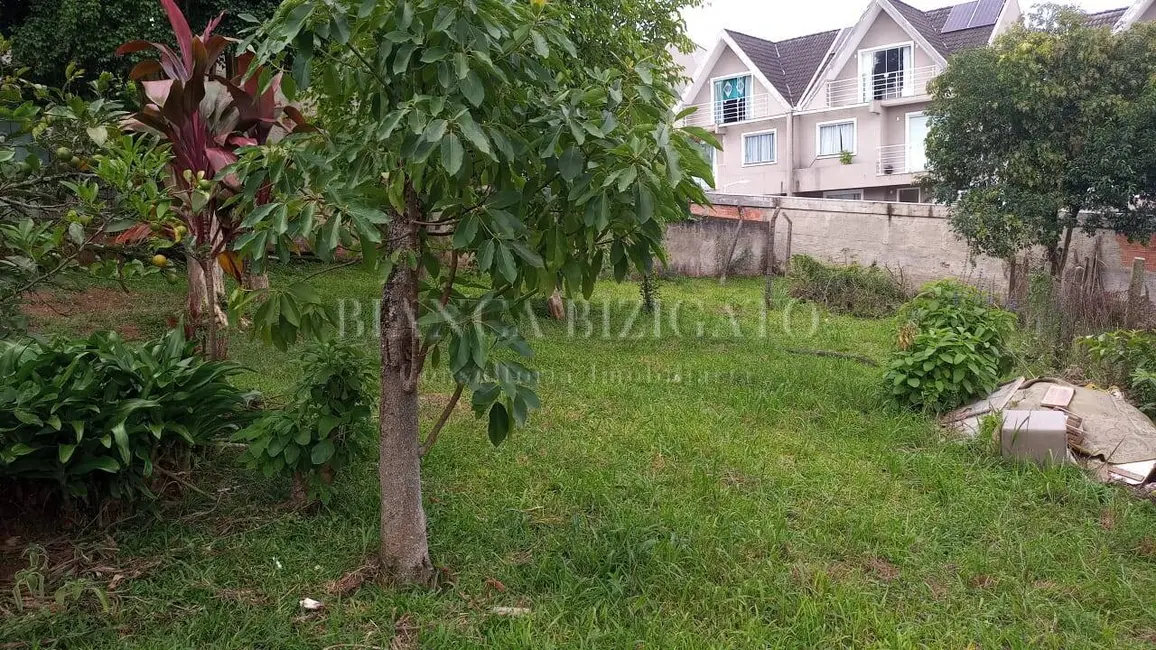 Foto 3 de Terreno / Lote à venda em Orleans, Curitiba - PR