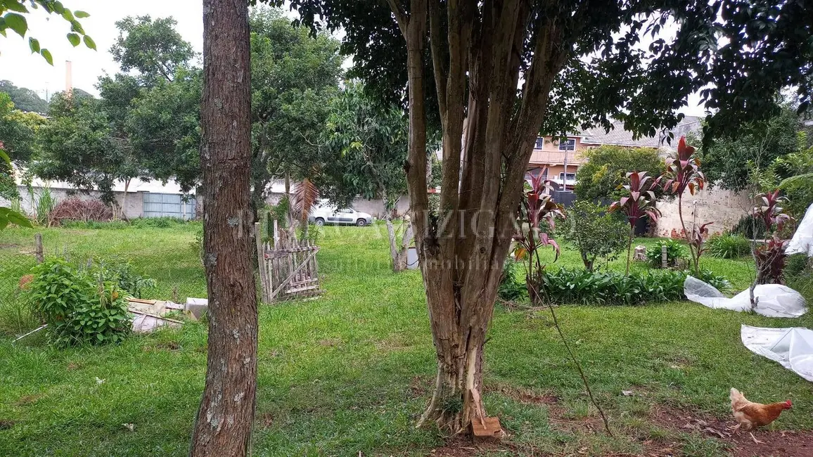 Foto 7 de Terreno / Lote à venda em Orleans, Curitiba - PR