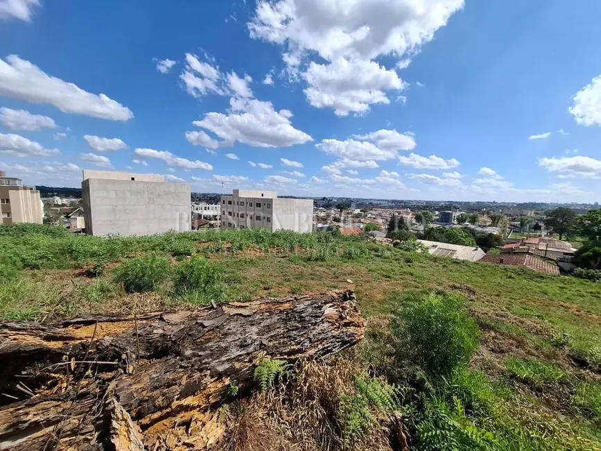 Foto 5 de Terreno / Lote à venda, 6000m2 em Jardim Amélia, Pinhais - PR
