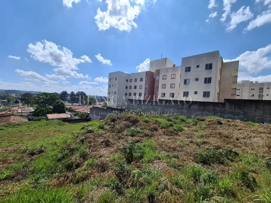 Foto 7 de Terreno / Lote à venda, 6000m2 em Jardim Amélia, Pinhais - PR