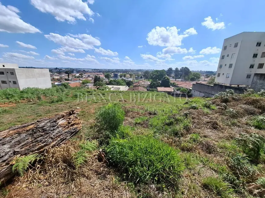 Foto 2 de Terreno / Lote à venda, 6000m2 em Jardim Amélia, Pinhais - PR