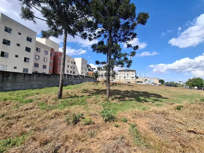Foto 9 de Terreno / Lote à venda, 6000m2 em Jardim Amélia, Pinhais - PR