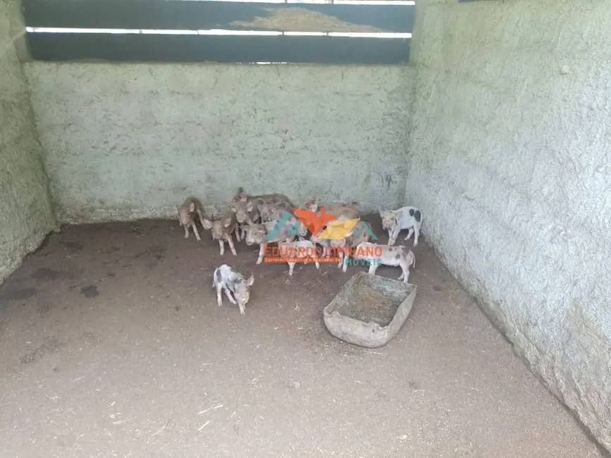 Foto 5 de Chácara com 2 quartos à venda, 20000m2 em Barranco Alto, Caraguatatuba - SP