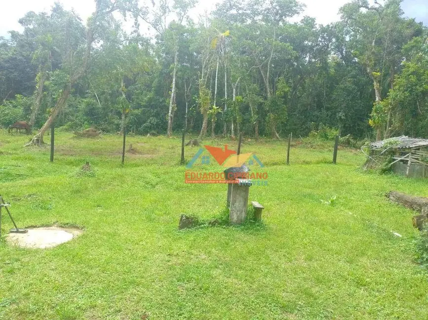 Foto 6 de Chácara com 2 quartos à venda, 20000m2 em Barranco Alto, Caraguatatuba - SP