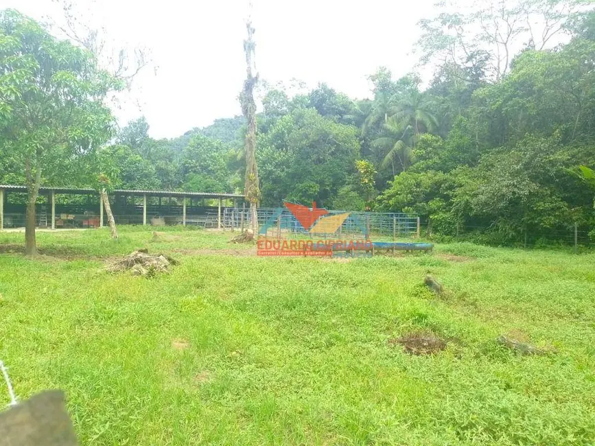 Foto 7 de Chácara com 2 quartos à venda, 20000m2 em Barranco Alto, Caraguatatuba - SP