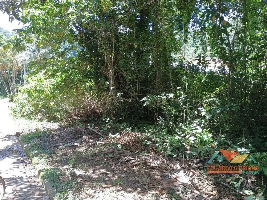 Terreno / Lote à venda, 387m2 em Verde Mar, Caraguatatuba - SP - imagem 6 Foto 6 de Terreno / Lote à venda, 387m2 em Verde Mar, Caraguatatuba - SP