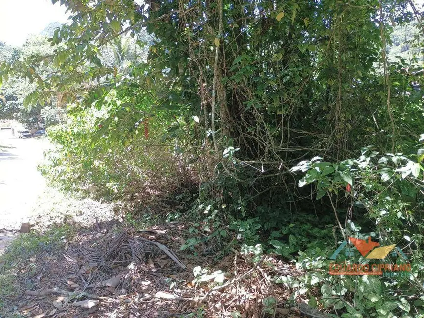 Terreno / Lote à venda, 387m2 em Verde Mar, Caraguatatuba - SP - imagem 8 Foto 8 de Terreno / Lote à venda, 387m2 em Verde Mar, Caraguatatuba - SP