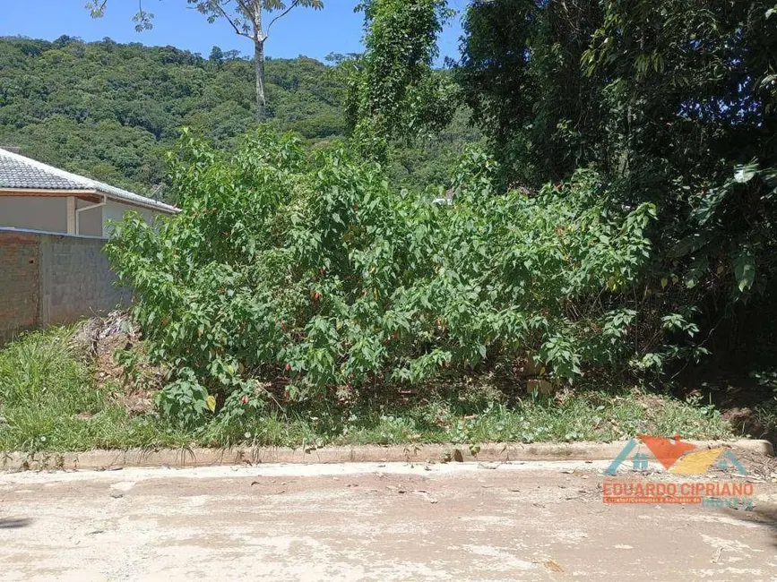 Terreno / Lote à venda, 387m2 em Verde Mar, Caraguatatuba - SP - imagem 3 Foto 3 de Terreno / Lote à venda, 387m2 em Verde Mar, Caraguatatuba - SP