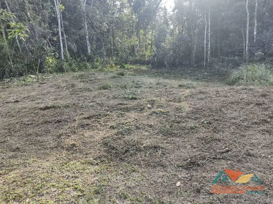 Foto 3 de Terreno / Lote à venda, 360m2 em Massaguaçu, Caraguatatuba - SP