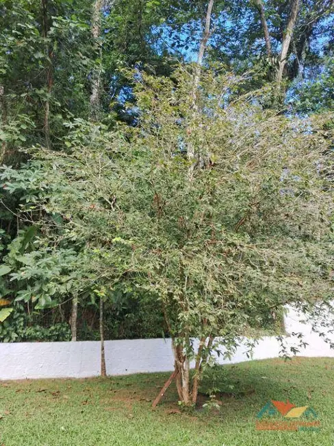 Foto 9 de Casa de Condomínio com 3 quartos à venda, 400m2 em Massaguaçu, Caraguatatuba - SP