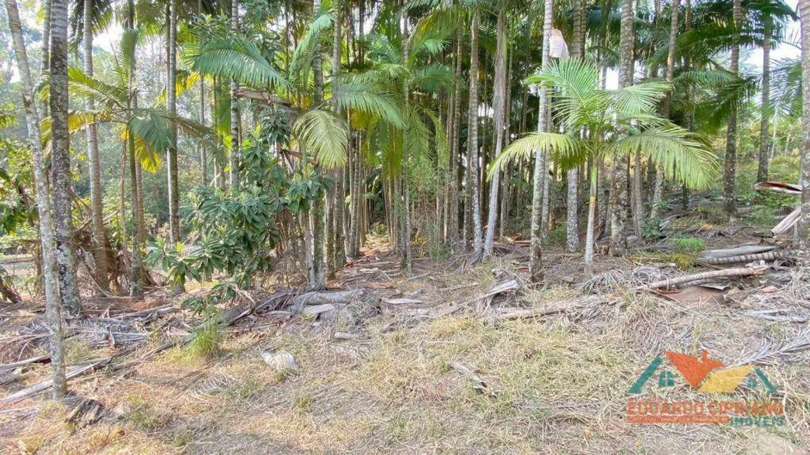 Terreno / Lote à venda, 5300m2 em Paraibuna - SP - imagem 6 Foto 6 de Terreno / Lote à venda, 5300m2 em Paraibuna - SP