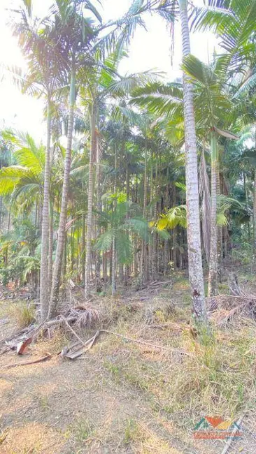 Terreno / Lote à venda, 5300m2 em Paraibuna - SP - imagem 7 Foto 7 de Terreno / Lote à venda, 5300m2 em Paraibuna - SP