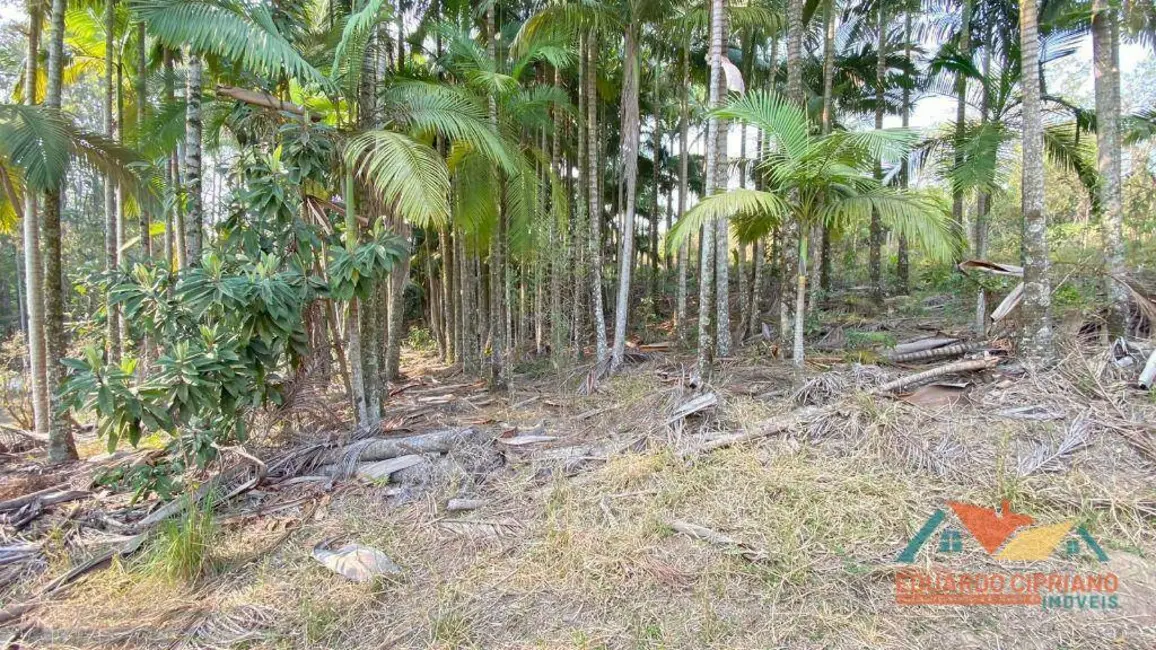 Terreno / Lote à venda, 5300m2 em Paraibuna - SP - imagem 5 Foto 5 de Terreno / Lote à venda, 5300m2 em Paraibuna - SP