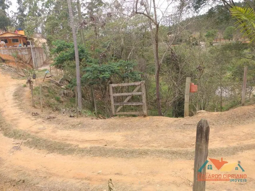 Chácara com 2 quartos à venda, 1309m2 em Paraibuna - SP - imagem 6 Foto 6 de Chácara com 2 quartos à venda, 1309m2 em Paraibuna - SP