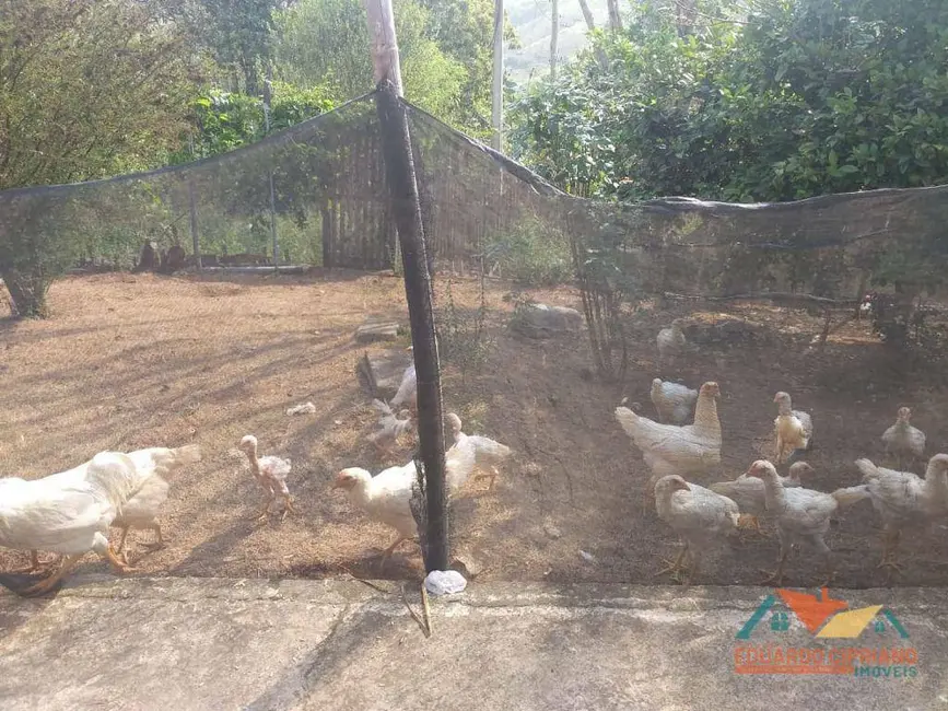 Chácara com 3 quartos à venda, 30000m2 em Paraibuna - SP - imagem 3 Foto 3 de Chácara com 3 quartos à venda, 30000m2 em Paraibuna - SP