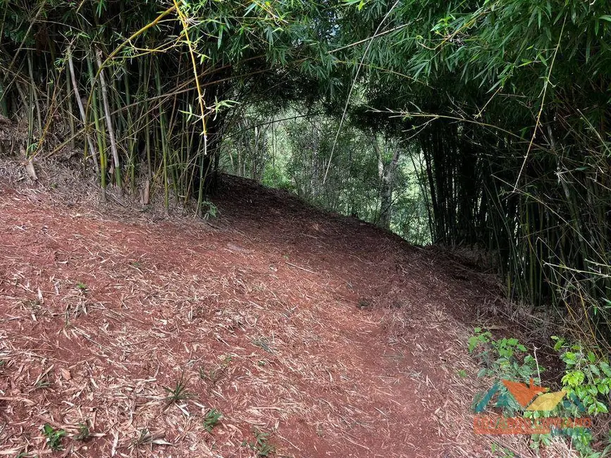 Foto 6 de Chácara à venda, 22560m2 em Jambeiro - SP
