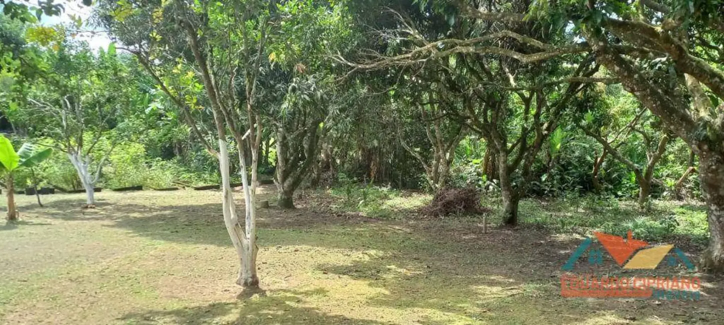 Chácara com 4 quartos à venda, 6160m2 em Paraibuna - SP - imagem 9 Foto 9 de Chácara com 4 quartos à venda, 6160m2 em Paraibuna - SP