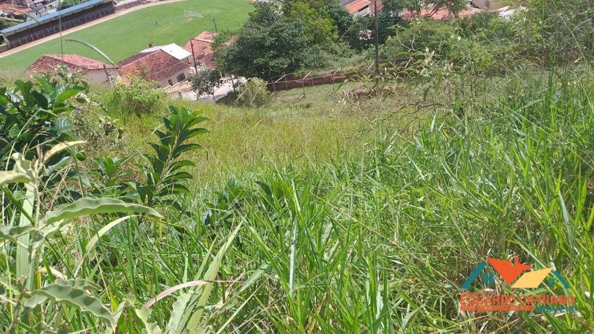 Terreno / Lote à venda, 3349m2 em Paraibuna - SP - imagem 3 Foto 3 de Terreno / Lote à venda, 3349m2 em Paraibuna - SP