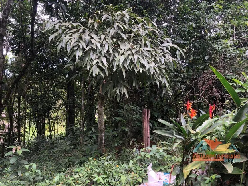 Foto 3 de Terreno / Lote à venda, 270m2 em Massaguaçu, Caraguatatuba - SP