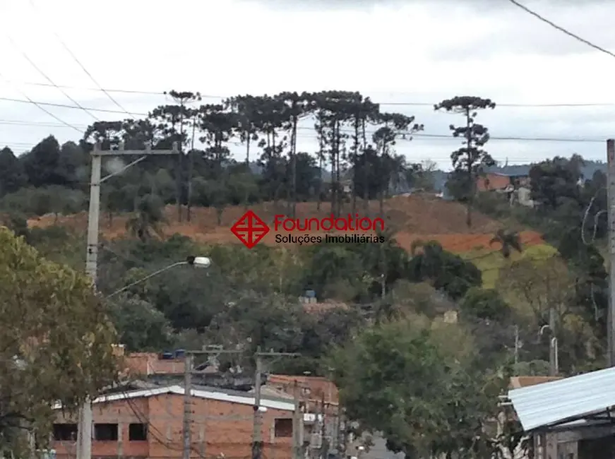Foto 7 de Terreno / Lote à venda, 2743m2 em Jardim Sandra, Cotia - SP