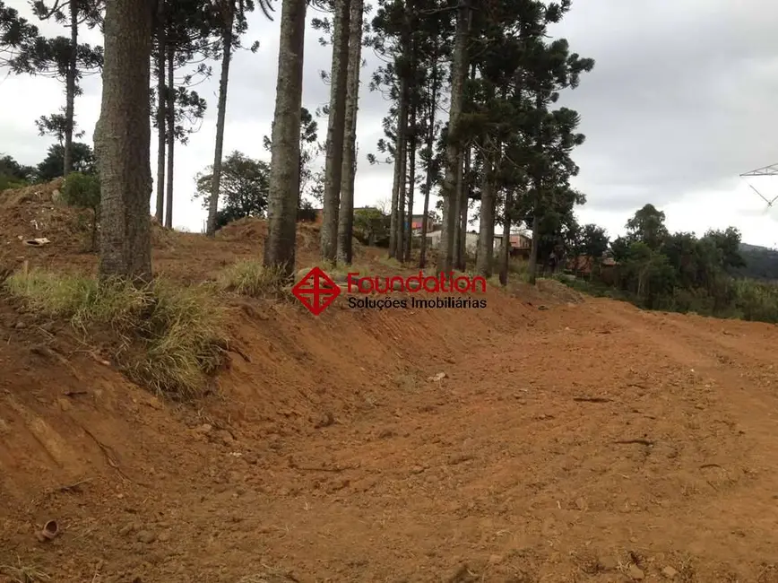 Foto 6 de Terreno / Lote à venda, 2743m2 em Jardim Sandra, Cotia - SP