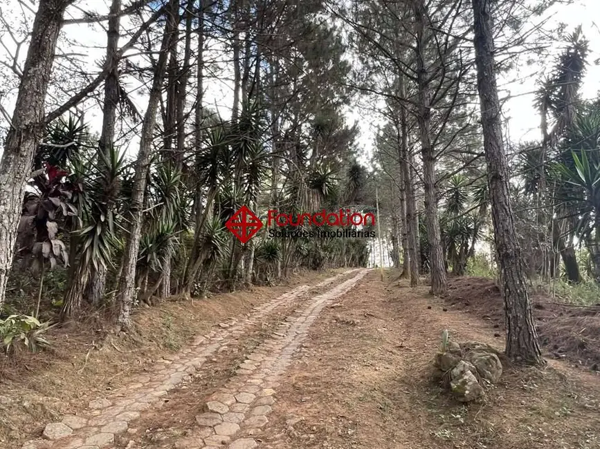 Terreno / Lote à venda em Taboleiro Verde, Cotia - SP - imagem 6 Foto 6 de Terreno / Lote à venda em Taboleiro Verde, Cotia - SP