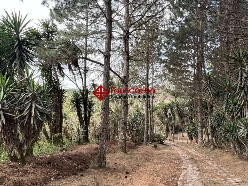 Terreno / Lote à venda em Taboleiro Verde, Cotia - SP - imagem 8 Foto 8 de Terreno / Lote à venda em Taboleiro Verde, Cotia - SP