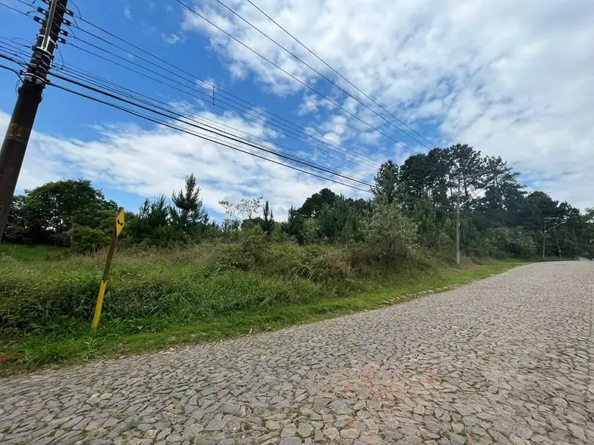 Foto 6 de Lote de Condomínio à venda, 4973m2 em Paisagem Renoir, Cotia - SP