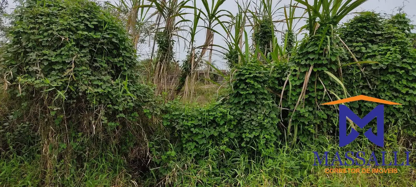 Foto 8 de Terreno / Lote à venda, 300m2 em Ilha Comprida - SP