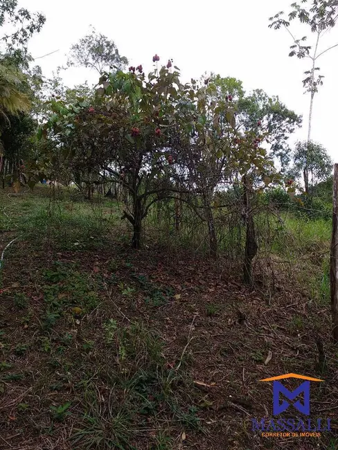 Foto 5 de Casa com 3 quartos à venda, 242000m2 em Sete Barras - SP