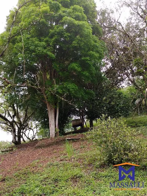 Foto 7 de Casa com 3 quartos à venda, 242000m2 em Sete Barras - SP