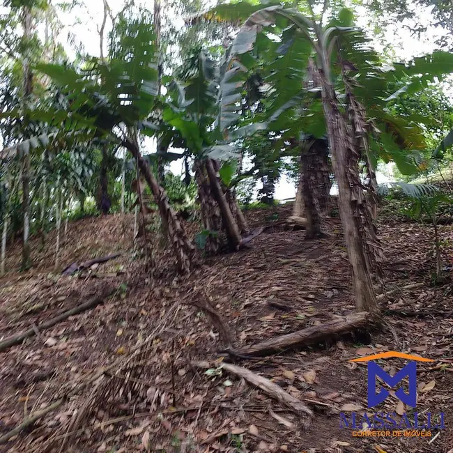 Foto 3 de Casa com 3 quartos à venda, 242000m2 em Sete Barras - SP