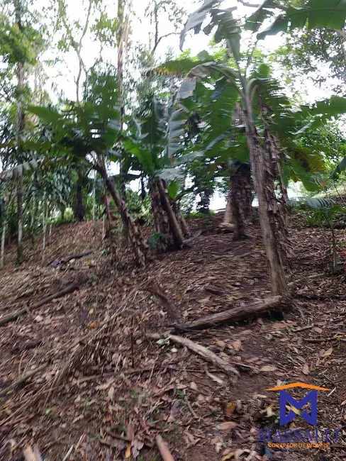 Foto 8 de Casa com 3 quartos à venda, 242000m2 em Sete Barras - SP