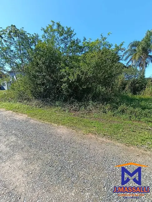 Terreno / Lote à venda, 250m2 em Ilha Comprida - SP - imagem 6 Foto 6 de Terreno / Lote à venda, 250m2 em Ilha Comprida - SP