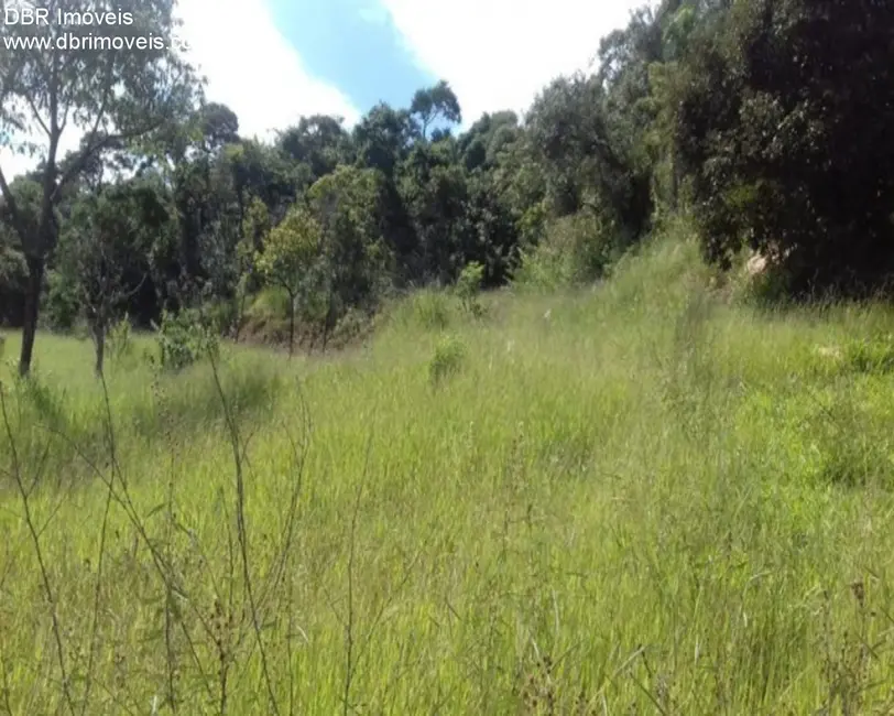 Foto 5 de Terreno / Lote à venda, 20000m2 em Marmeleiro, Sao Roque - SP