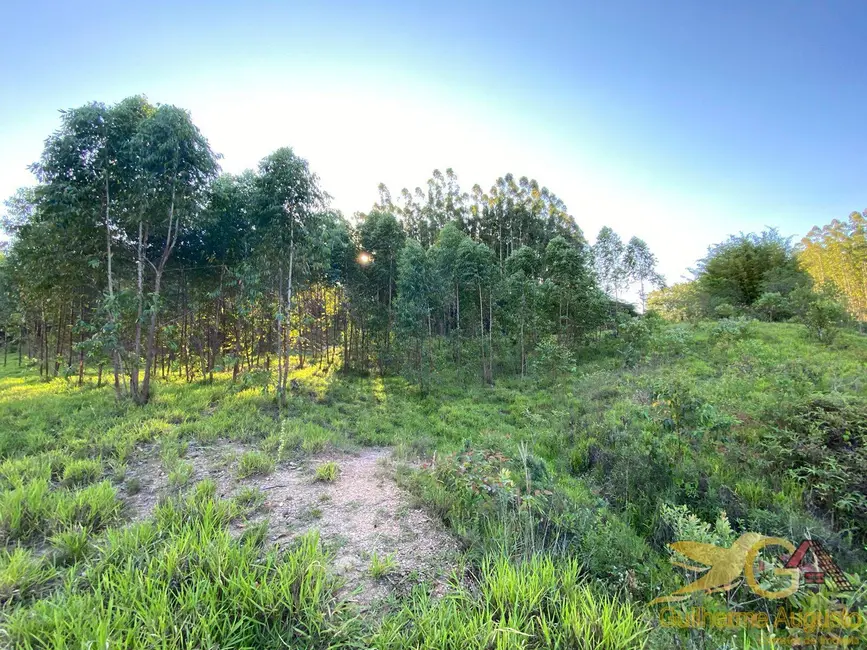 Chácara à venda, 558839m2 em Sao Joao Del Rei - MG - imagem 5 Foto 5 de Chácara à venda, 558839m2 em Sao Joao Del Rei - MG