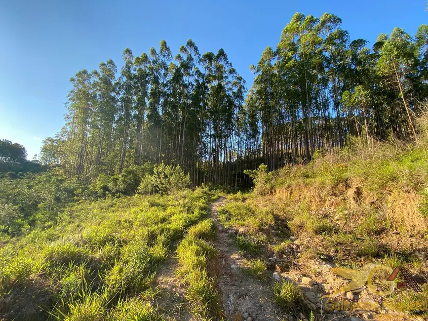 Chácara à venda, 558839m2 em Sao Joao Del Rei - MG - imagem 8 Foto 8 de Chácara à venda, 558839m2 em Sao Joao Del Rei - MG