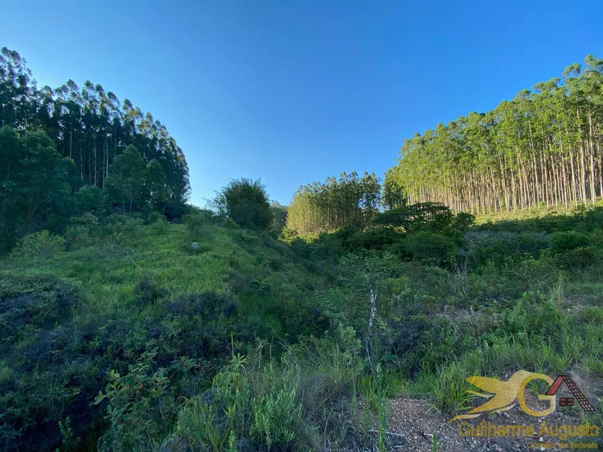 Chácara à venda, 558839m2 em Sao Joao Del Rei - MG - imagem 6 Foto 6 de Chácara à venda, 558839m2 em Sao Joao Del Rei - MG