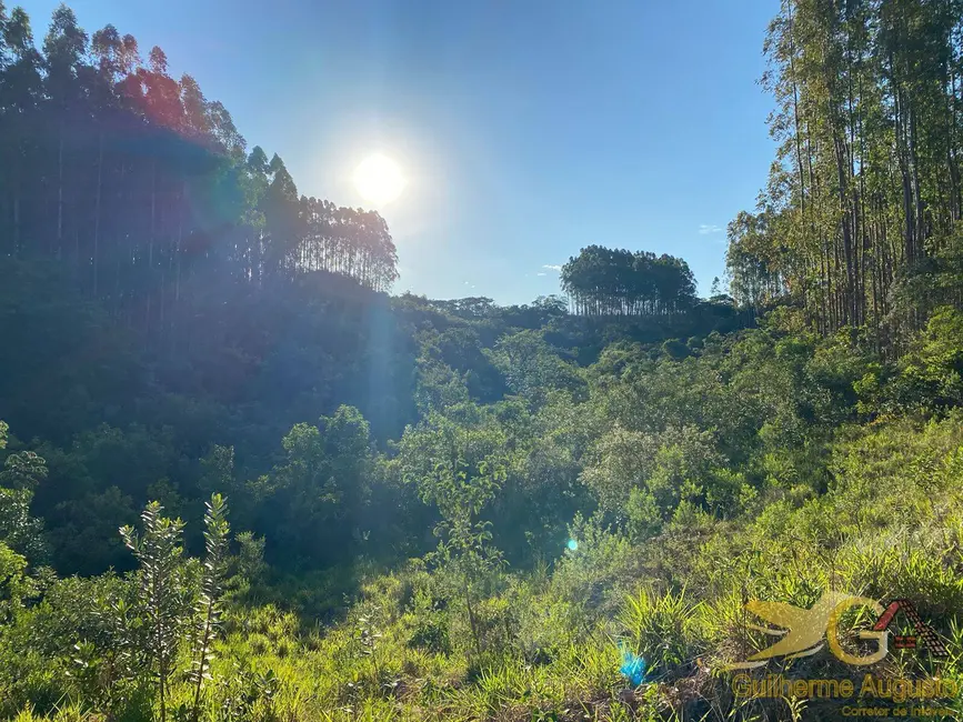 Chácara à venda, 558839m2 em Sao Joao Del Rei - MG - imagem 9 Foto 9 de Chácara à venda, 558839m2 em Sao Joao Del Rei - MG