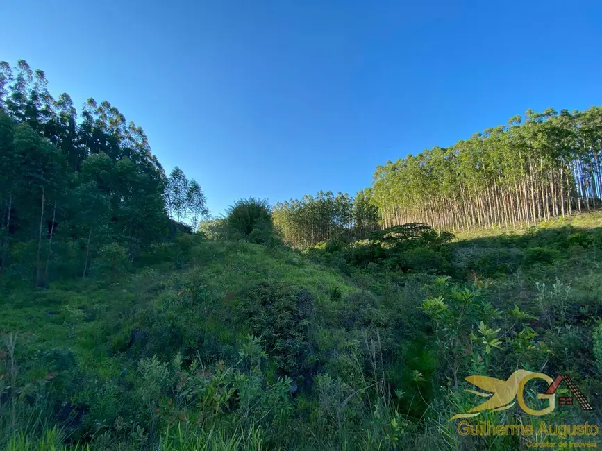 Chácara à venda, 558839m2 em Sao Joao Del Rei - MG - imagem 3 Foto 3 de Chácara à venda, 558839m2 em Sao Joao Del Rei - MG