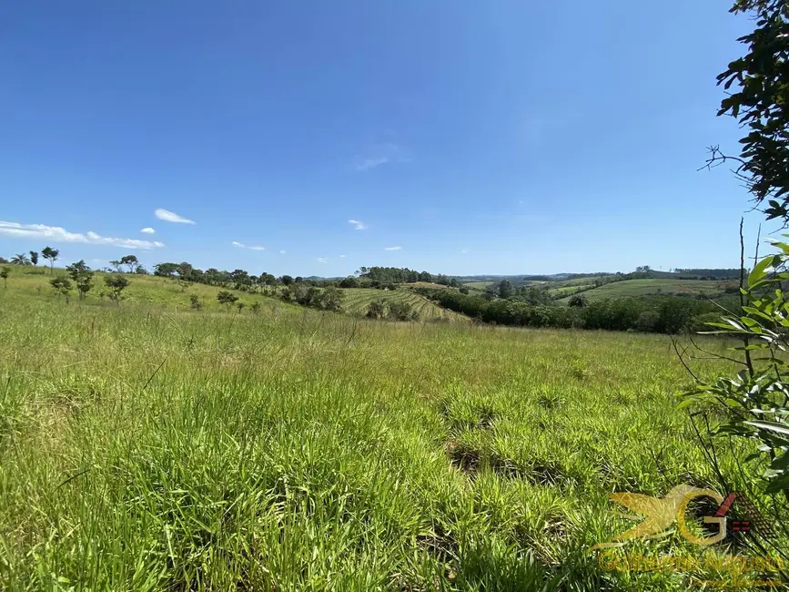 Foto 15 de Chácara à venda em Resende Costa - MG