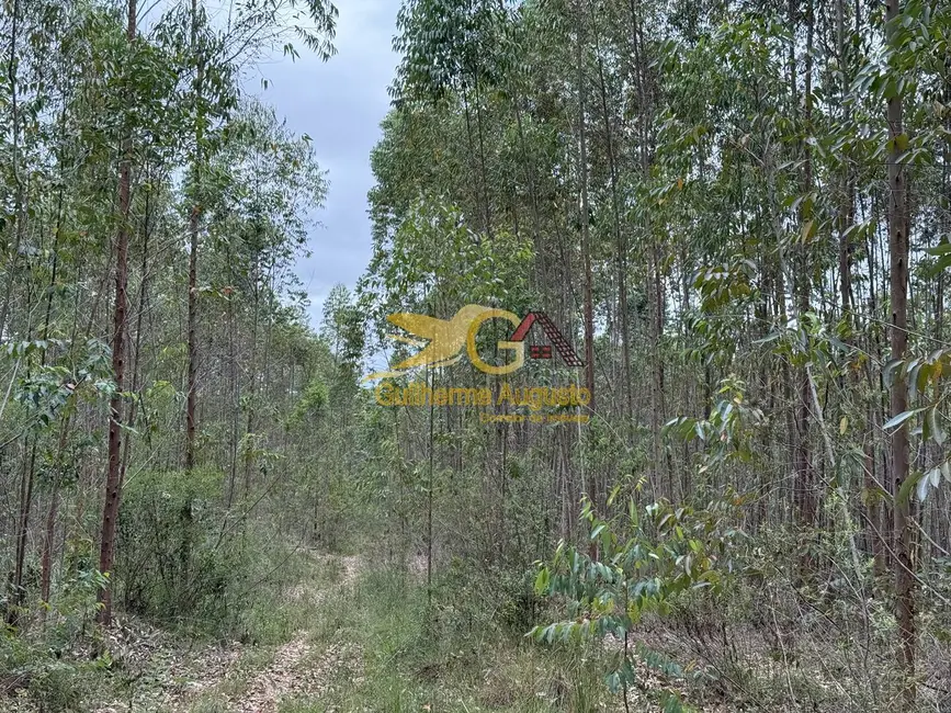 Foto 10 de Terreno / Lote à venda, 56m2 em Sao Joao Del Rei - MG